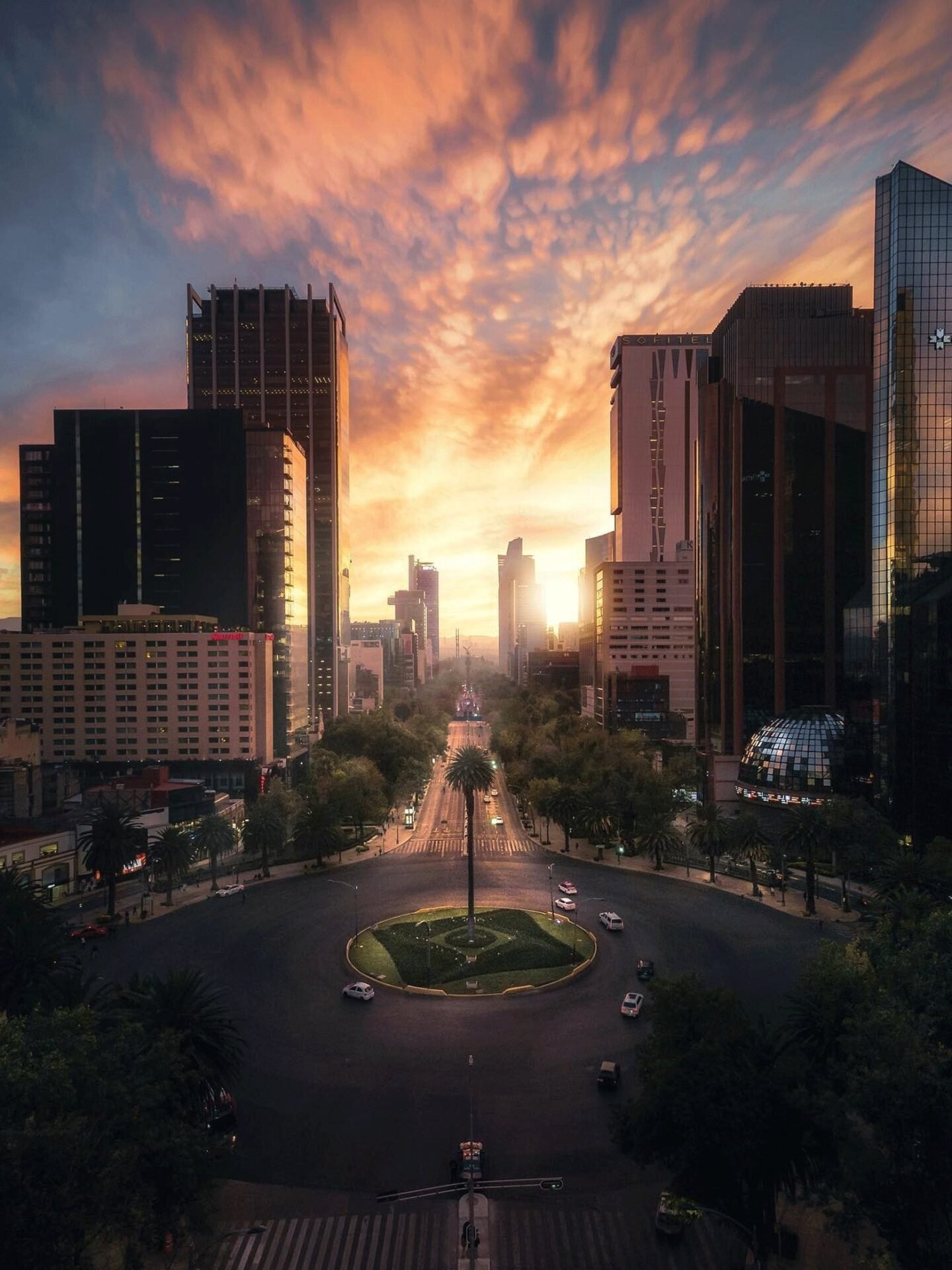 Mexico City skyline at sunset